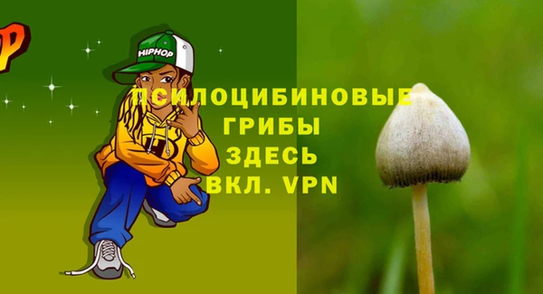 молекула духа Алексеевка
