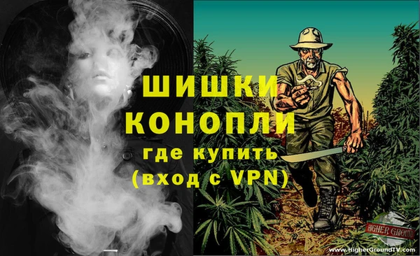 дмт Алзамай