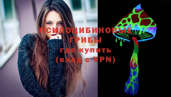 молекула духа Алексеевка